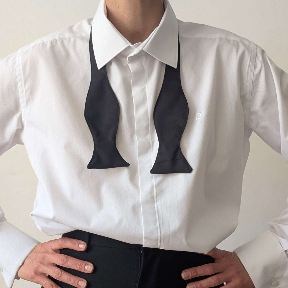 Bow Tie Pierre Cardin #11