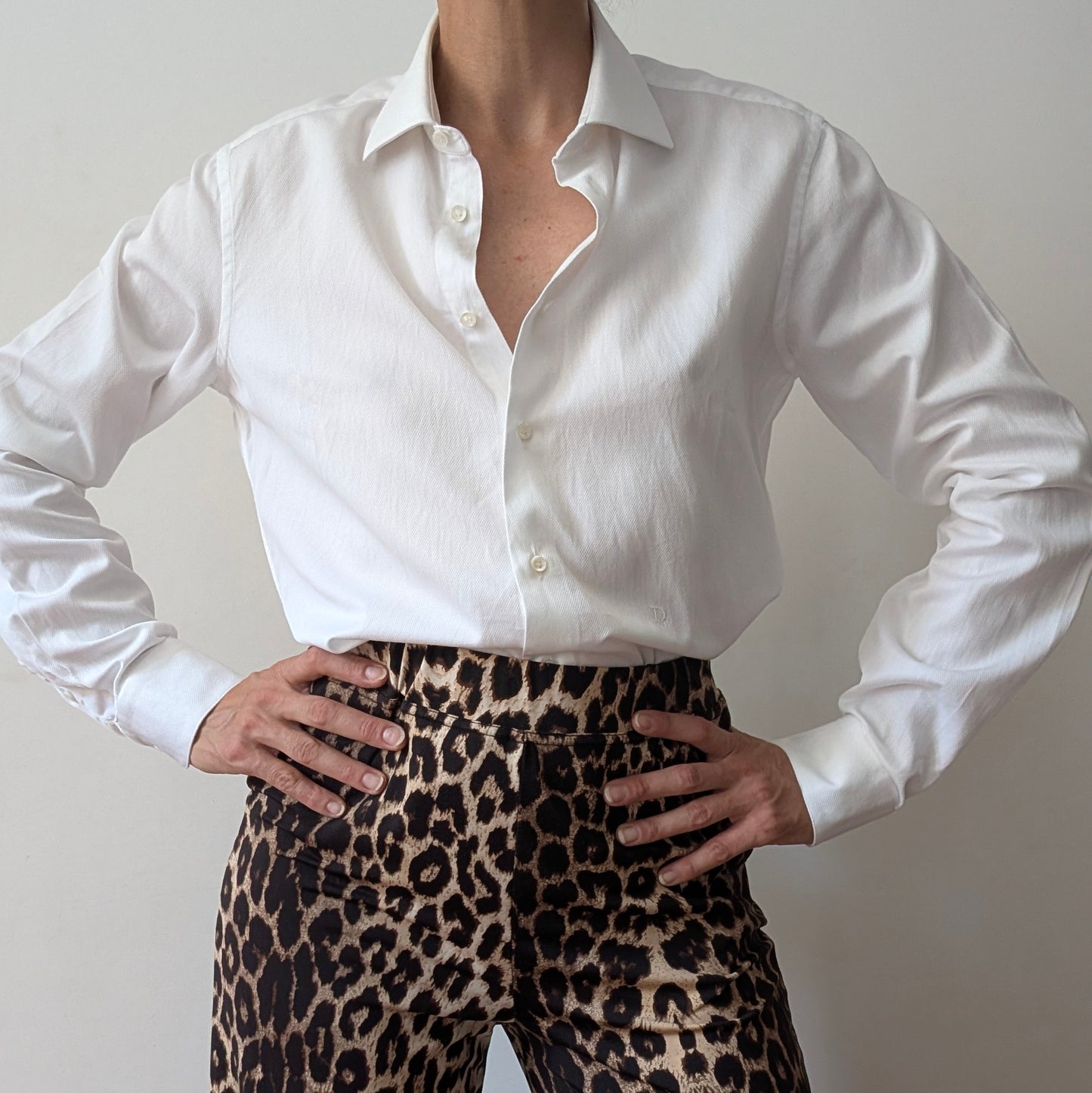 Camicia Christian Dior #1